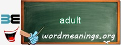 WordMeaning blackboard for adult